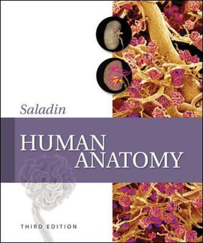 Cover image for Human Anatomy