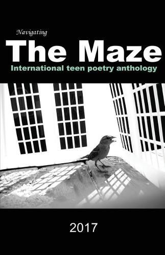 Cover image for Navigating the Maze