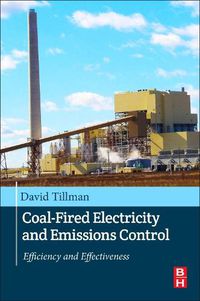 Cover image for Coal-Fired Electricity and Emissions Control: Efficiency and Effectiveness