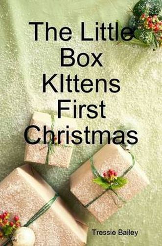 Cover image for The Little Box Kittens First Christmas