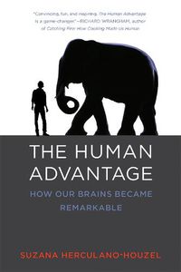 Cover image for The Human Advantage: How Our Brains Became Remarkable