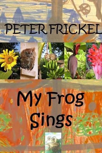 Cover image for My Frog Sings
