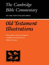 Cover image for Old Testament Illustrations