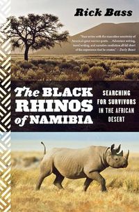 Cover image for Black Rhinos of Namibia