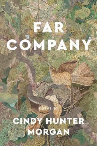 Cover image for Far Company: Poems by Cindy Hunter Morgan