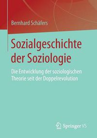 Cover image for Sozialgeschichte der Soziologie: Die Entwicklung der soziologischen Theorie seit der Doppelrevolution