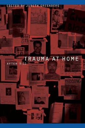 Cover image for Trauma at Home: After 9/11