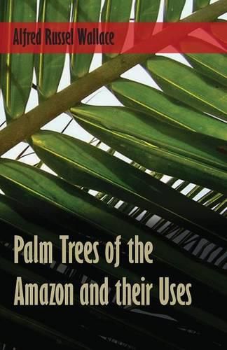 Cover image for Palm Trees of the Amazon and their Uses