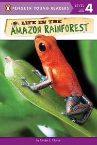 Cover image for Life in the Amazon Rainforest