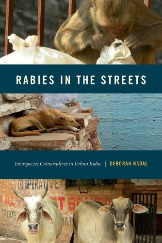 Cover image for Rabies in the Streets: Interspecies Camaraderie in Urban India