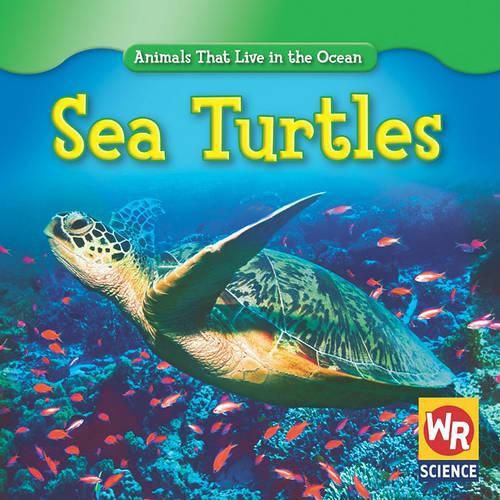 Cover image for Sea Turtles