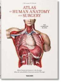 Cover image for Bourgery. Atlas of Human Anatomy and Surgery