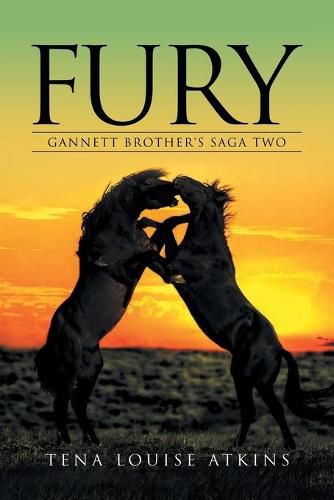 Cover image for Fury: Gannett Brother's Saga Two