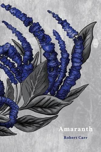 Cover image for Amaranth