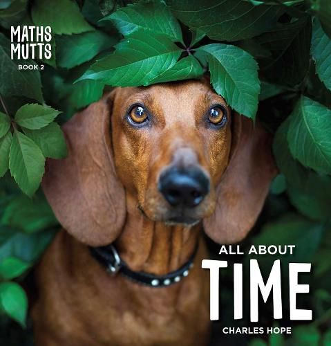 Maths Mutts: All About Time: Maths Mutts Book 2