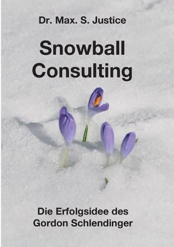 Cover image for Snowball Consulting