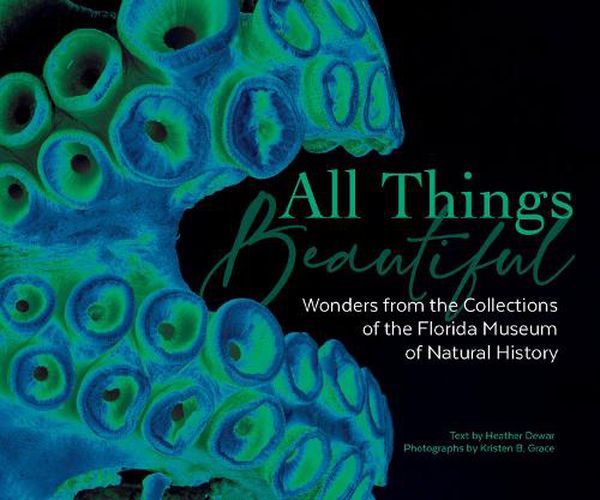 Cover image for All Things Beautiful: Wonders from the Collections of the Florida Museum of Natural History