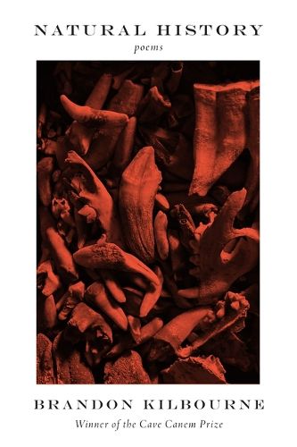 Cover image for Natural History