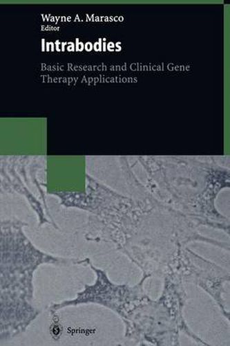 Cover image for Intrabodies: Basic Research and Clinical Gene Therapy Applications