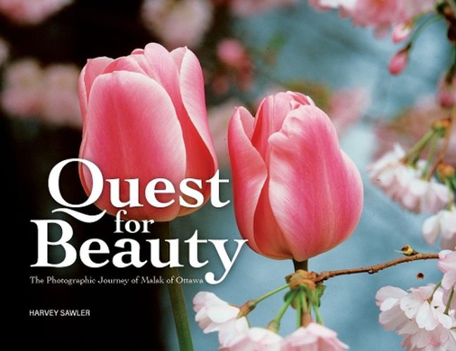 Cover image for Quest for Beauty