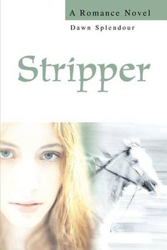 Cover image for Stripper:A Romance Novel: A Romance Novel