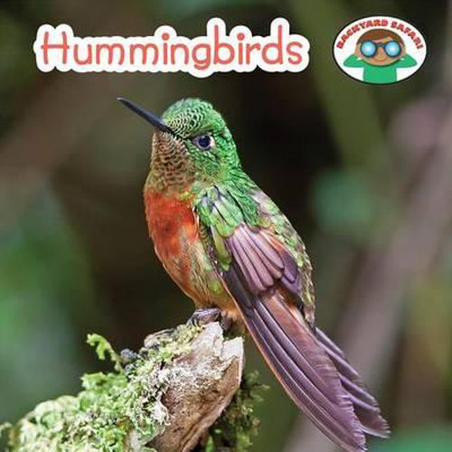 Hummingbirds