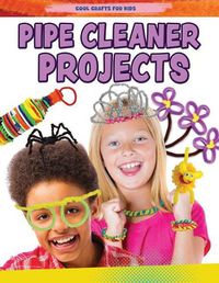 Cover image for Pipe Cleaner Projects