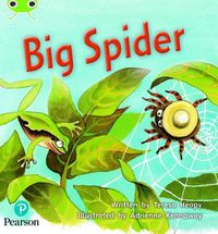 Cover image for Bug Club Phonics Fiction Year 1 Phase 5 Unit 27 Big Spider