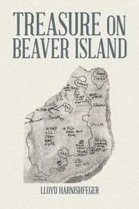 Cover image for Treasure on Beaver Island