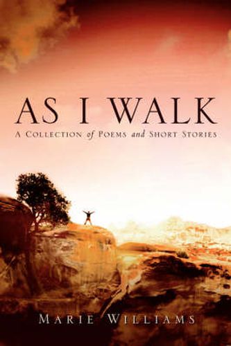 Cover image for As I Walk