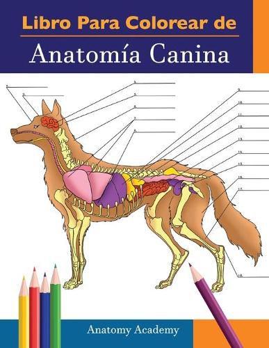 Cover image for Libro para colorear de Anatomia Canina: Libro de Colores de Autoevaluacion Muy Detallado de Anatomia Canina El Regalo Perfecto Para Estudiantes de Veterinaria, Amantes de los Perros y Adultos