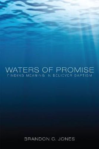 Cover image for Waters of Promise: Finding Meaning in Believer Baptism