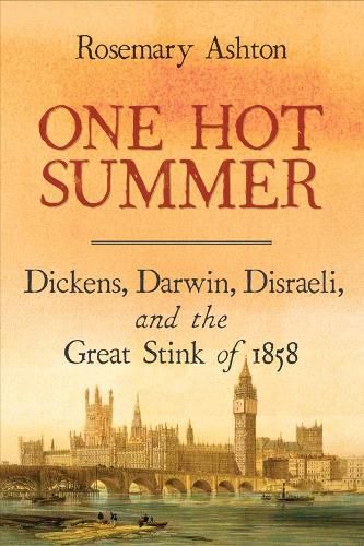 Cover image for One Hot Summer: Dickens, Darwin, Disraeli, and the Great Stink of 1858