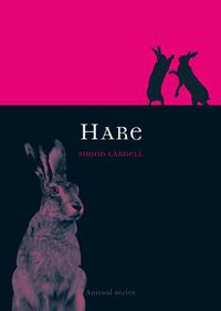 Cover image for Hare