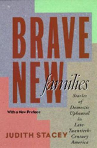 Cover image for Brave New Families: Stories of Domestic Upheaval in Late-Twentieth-Century America