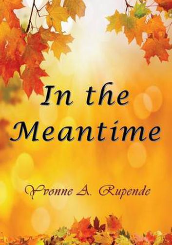 Cover image for In the Meantime