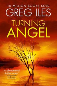 Cover image for Turning Angel