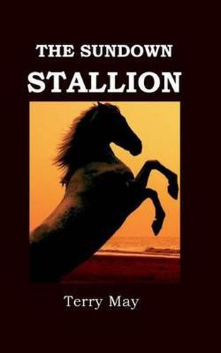 Cover image for The Sundown Stallion