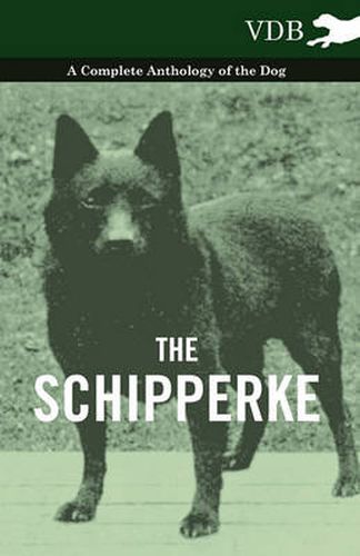 Cover image for The Schipperke - A Complete Anthology of the Dog