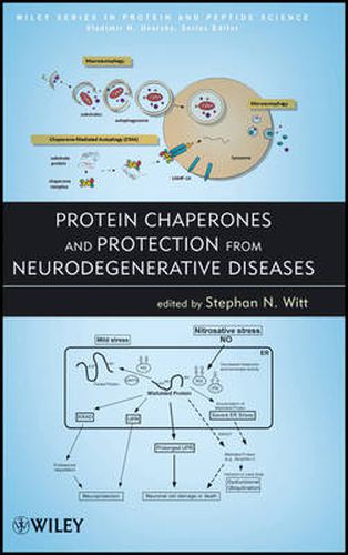 Cover image for Protein Chaperones and Protection from Neurodegenerative Diseases: On Kant's Philosophy of Material Nature