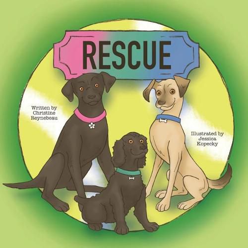 Cover image for Rescue