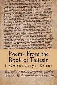 Cover image for Poems From the Book of Taliesin