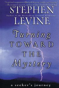 Cover image for Turning Towards the Mystery