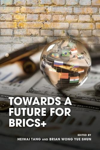 Cover image for Towards a Future for Brics+