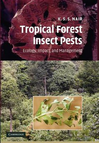 Cover image for Tropical Forest Insect Pests: Ecology, Impact, and Management