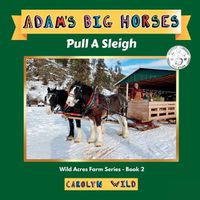 Cover image for Adam's Big Horses