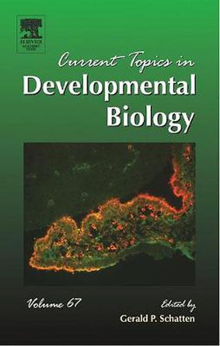Cover image for Current Topics in Developmental Biology