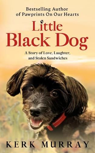 Cover image for Little Black Dog