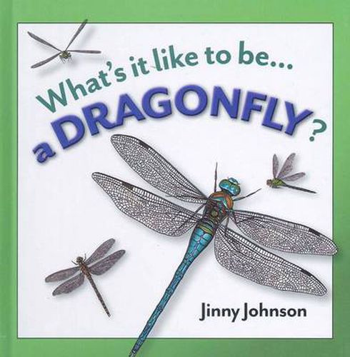 A Dragonfly?