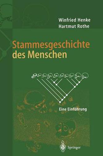 Cover image for Stammesgeschichte Des Menschen